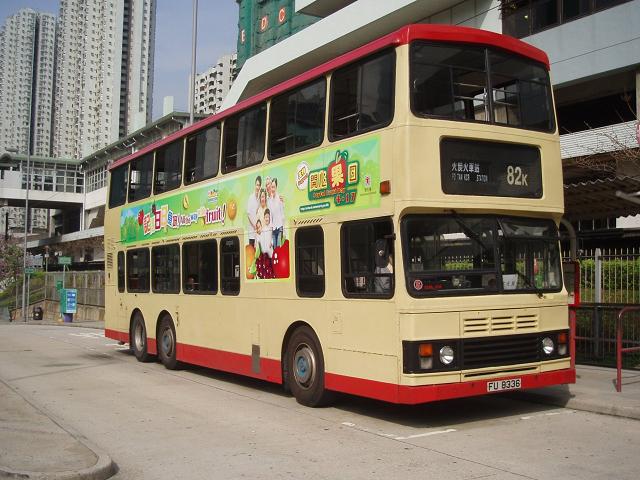 P1010121.JPG