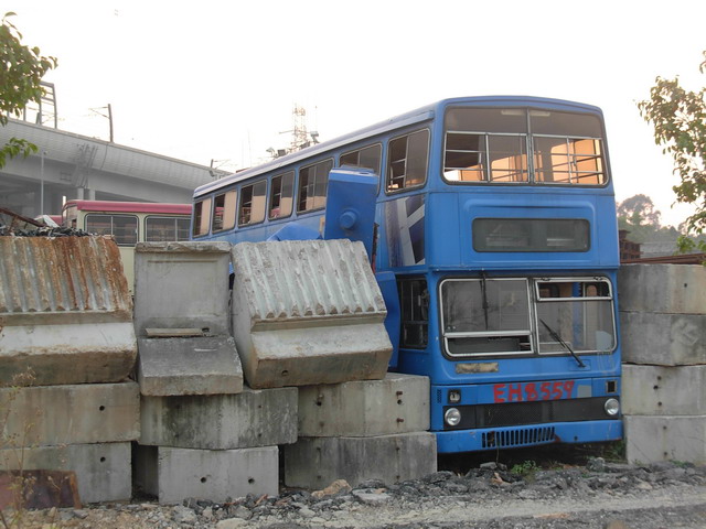 DSCN9731.JPG