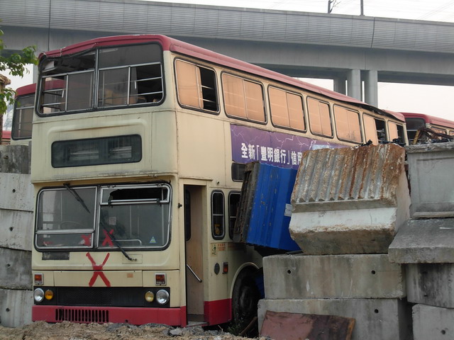DSCN9729.JPG