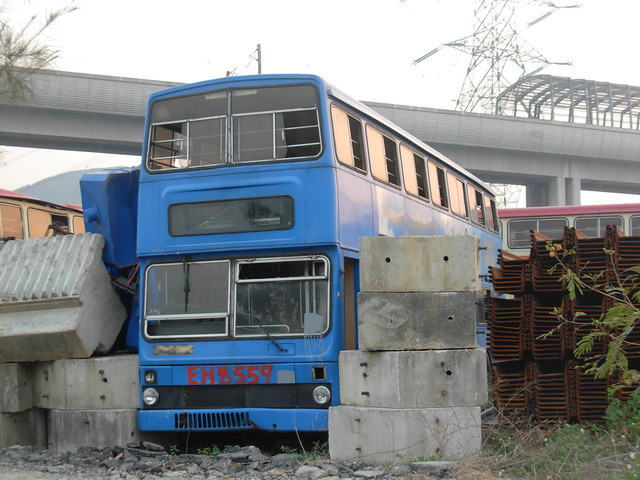 DSCN9728.JPG