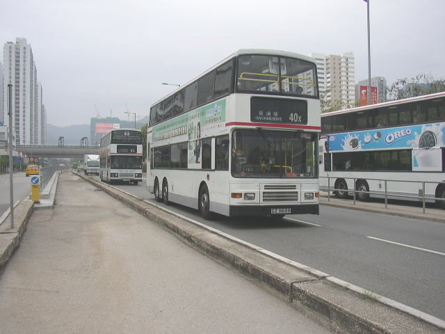 p8110016.jpg