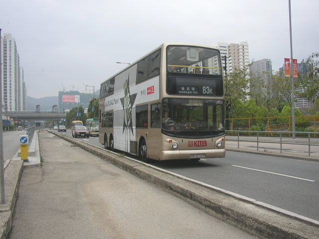 p8110034.jpg