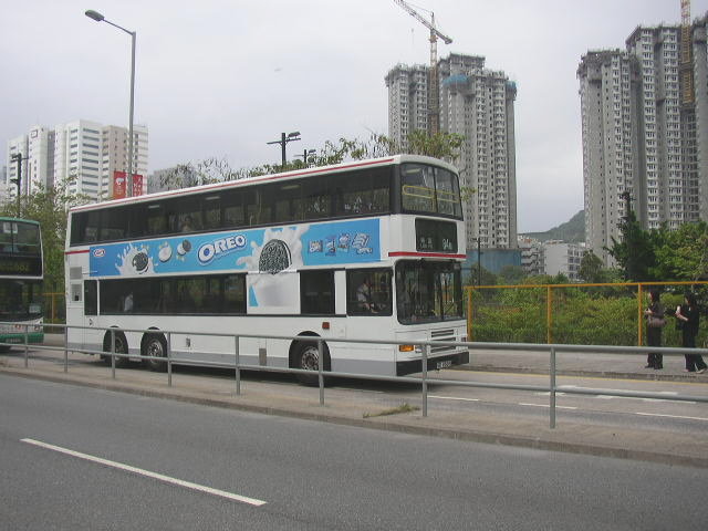 p8110017.jpg