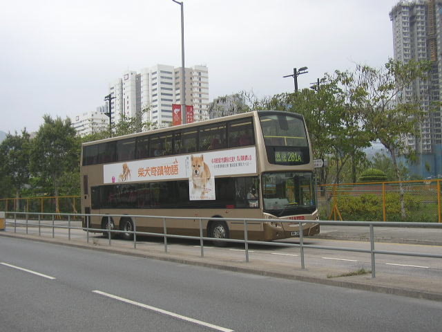 p8110028.jpg