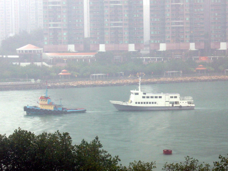 P1040249-1.jpg
