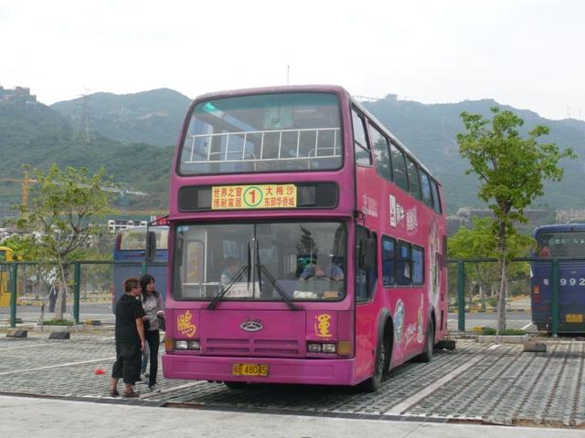 P1030564.JPG