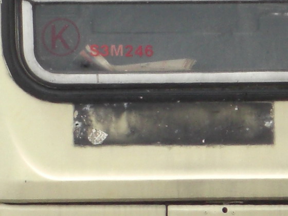 CIMG0685.JPG