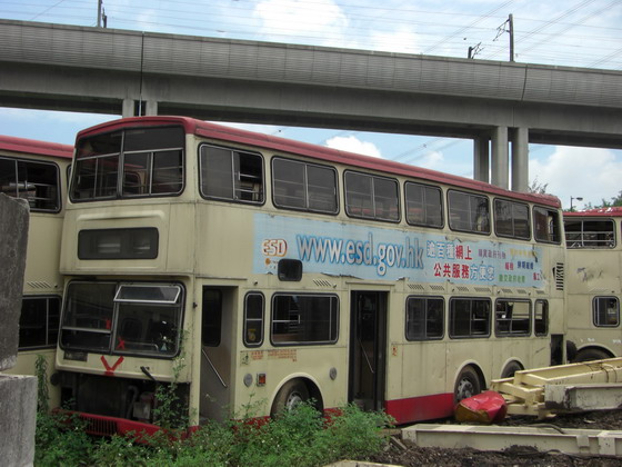 CIMG0672.JPG
