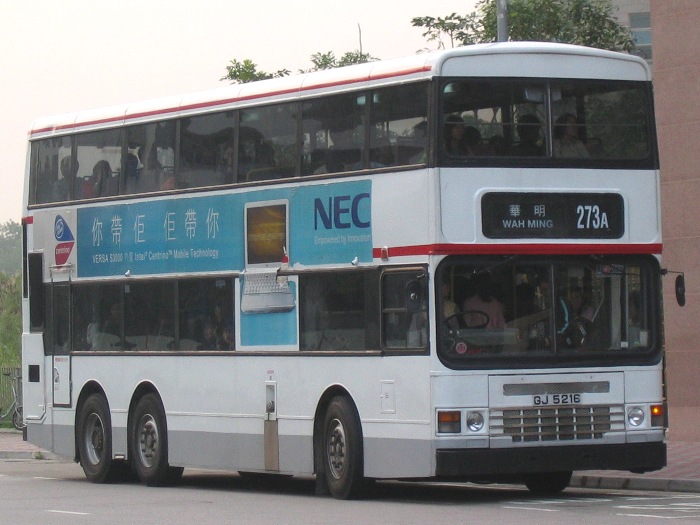 31446.JPG