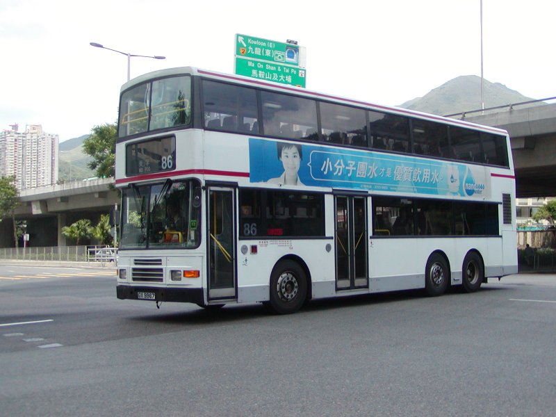 P1010058.jpg