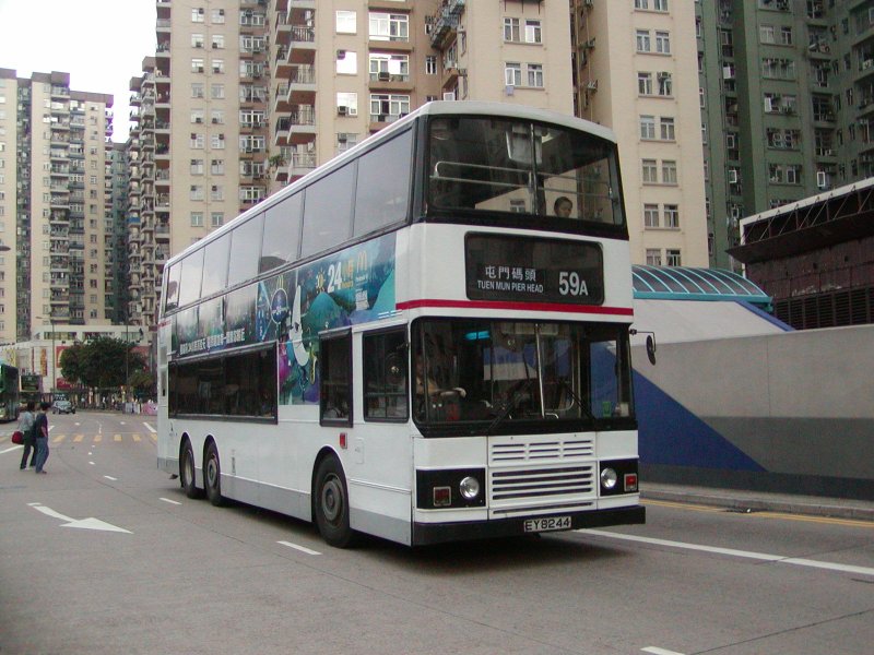 P1010086.jpg