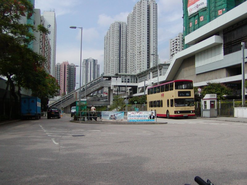 P1010075.jpg