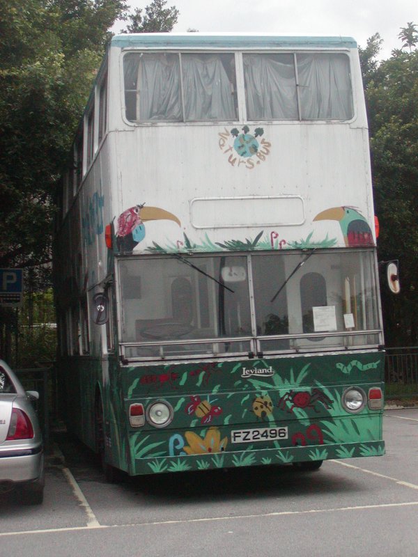 P1010003.jpg