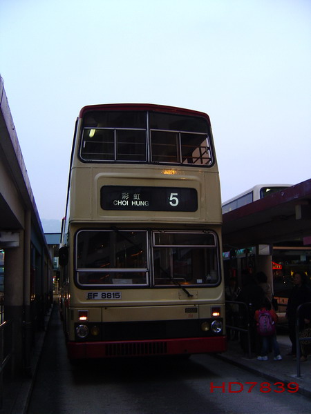 DSC05182.jpg