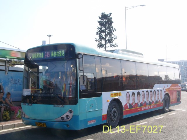 245.jpg
