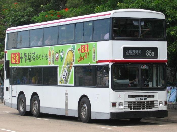 6317.JPG