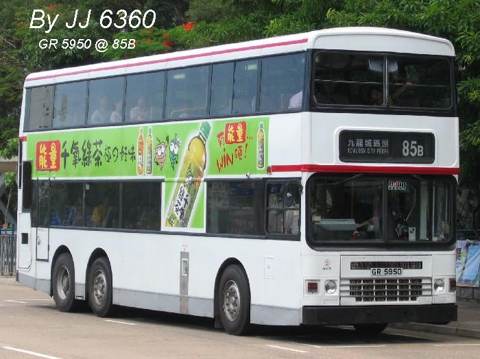 3781.jpg