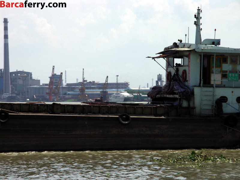 PICT6254.jpg