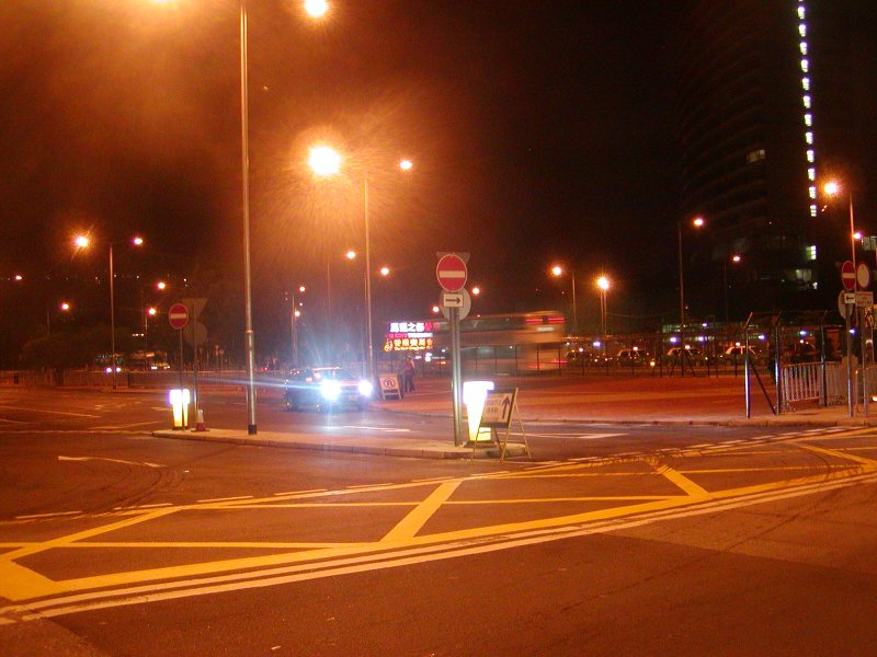 P1010011.jpg