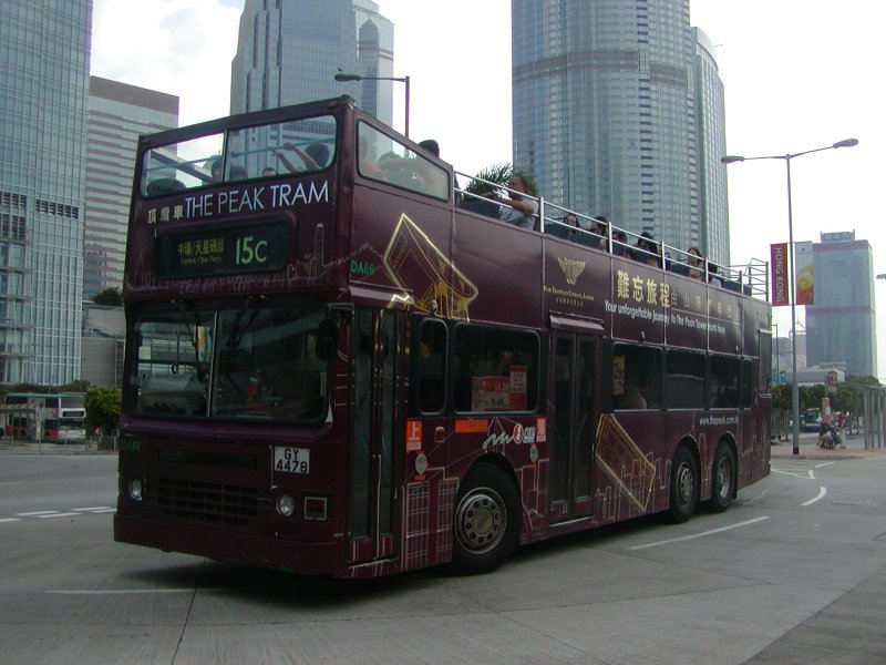 P1010016.jpg