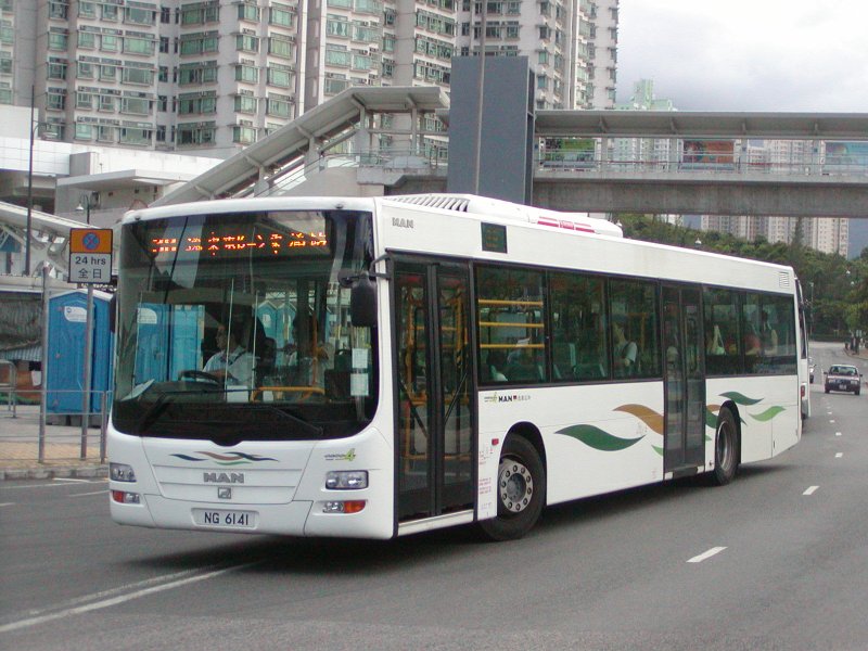 P1010036.jpg