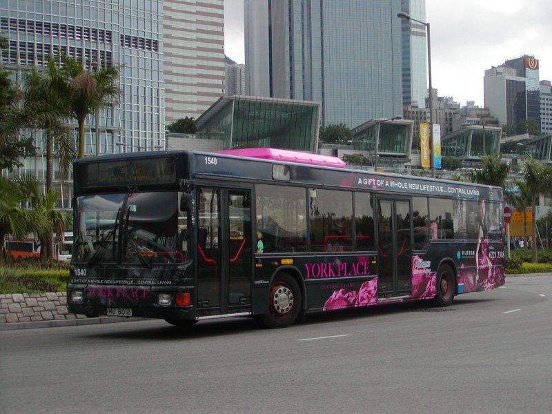 P1010007.jpg