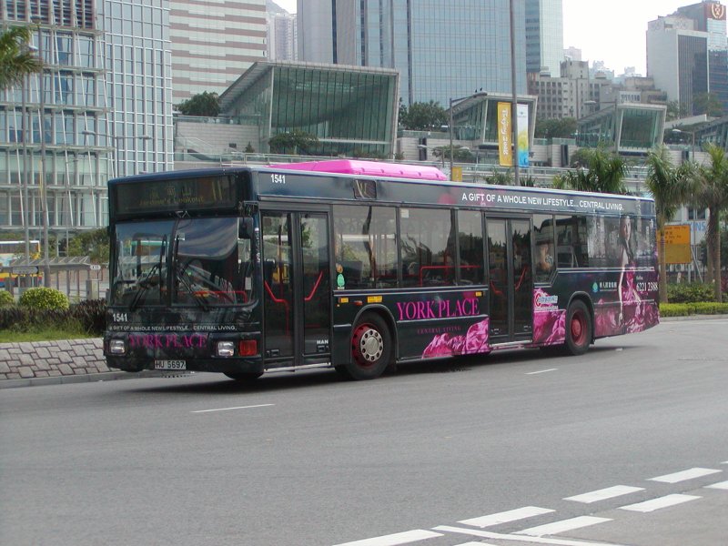 P1010019.jpg