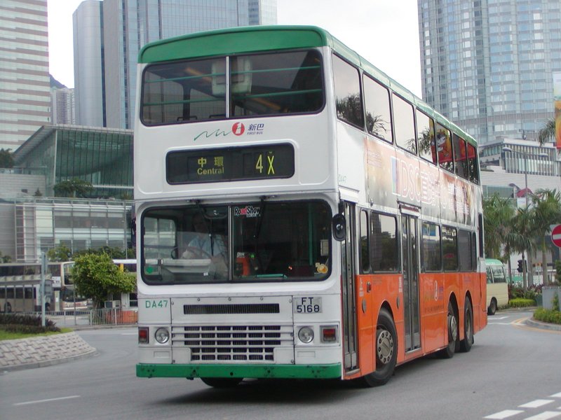 P1010021.jpg