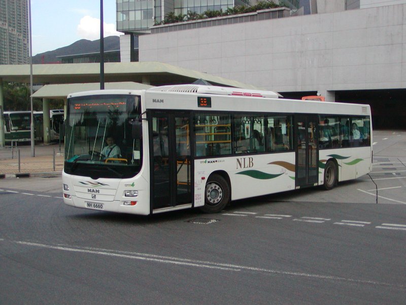 P1010037.jpg