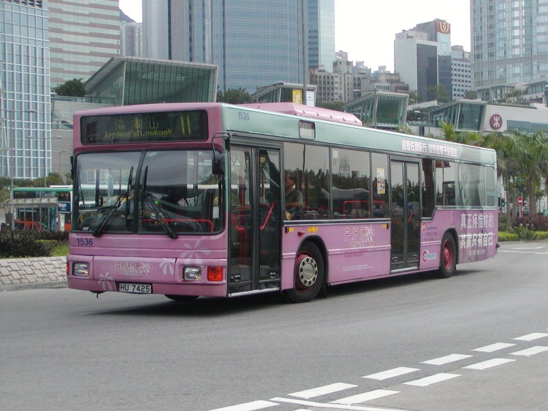 P1010025.jpg