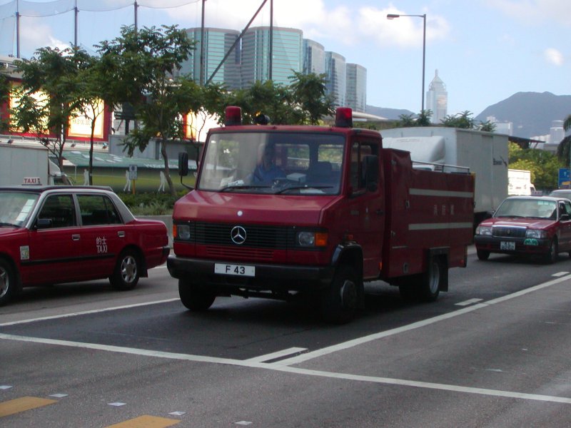 P1010016.jpg
