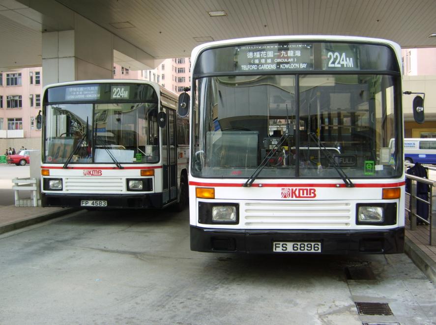 AN2.JPG
