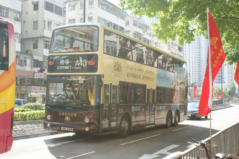 DSC01435.jpg