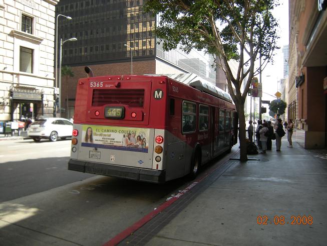 DSCN0606.JPG