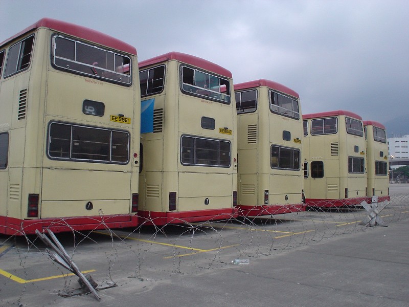 DSC00454.JPG