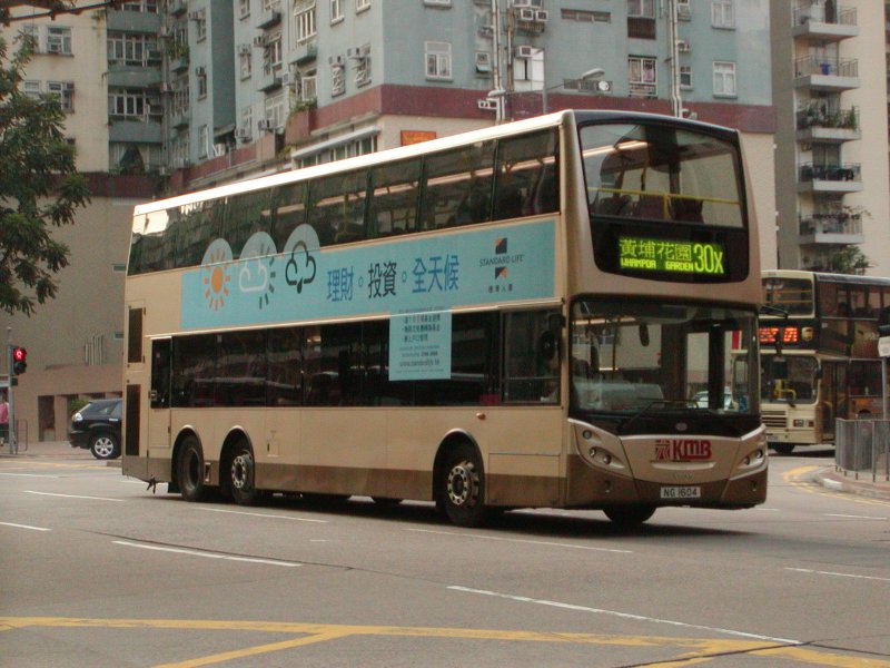 P1010071.jpg