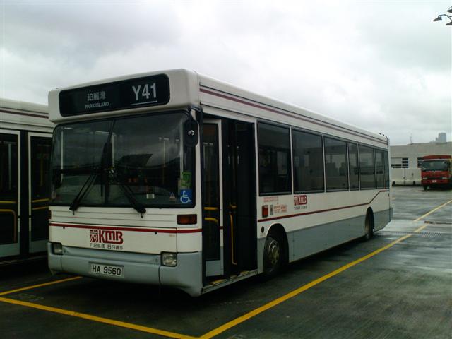 Y41.JPG