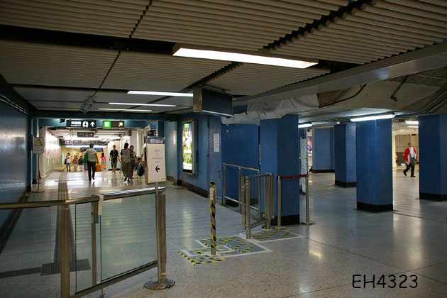 IMGP1311.jpg