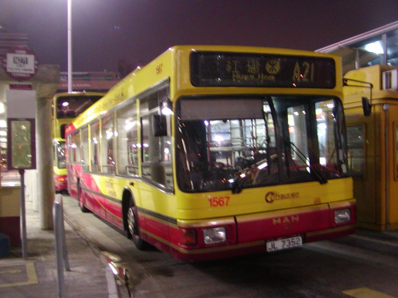P1010084.jpg