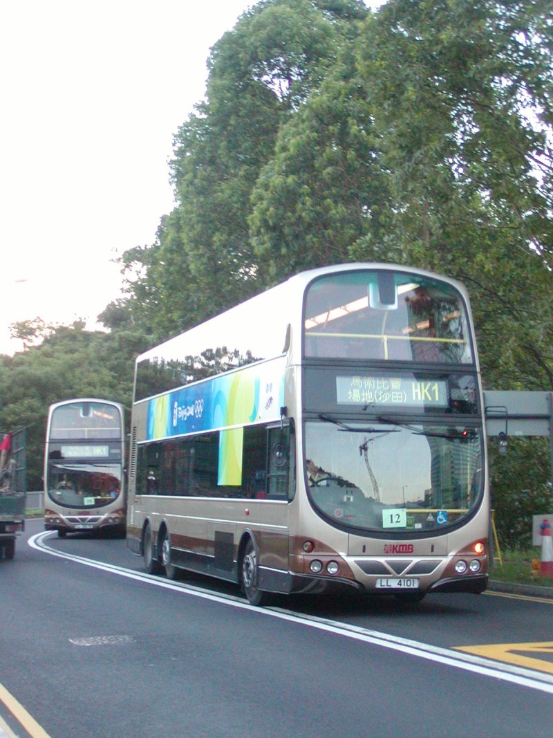 P1010094.jpg
