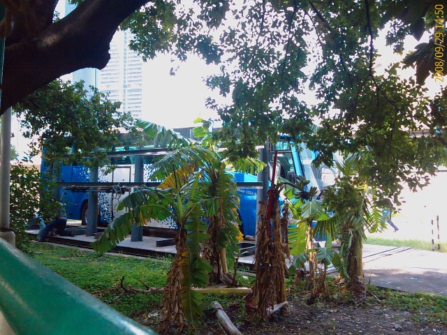 irisbus01.jpg