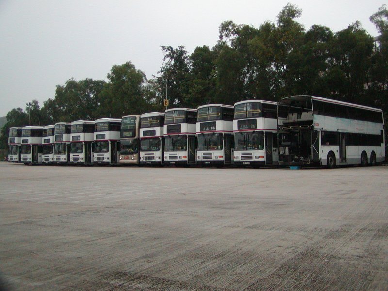 P1010039.jpg