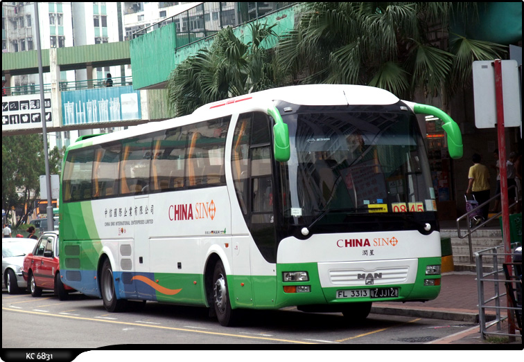 coaFL3313.jpg