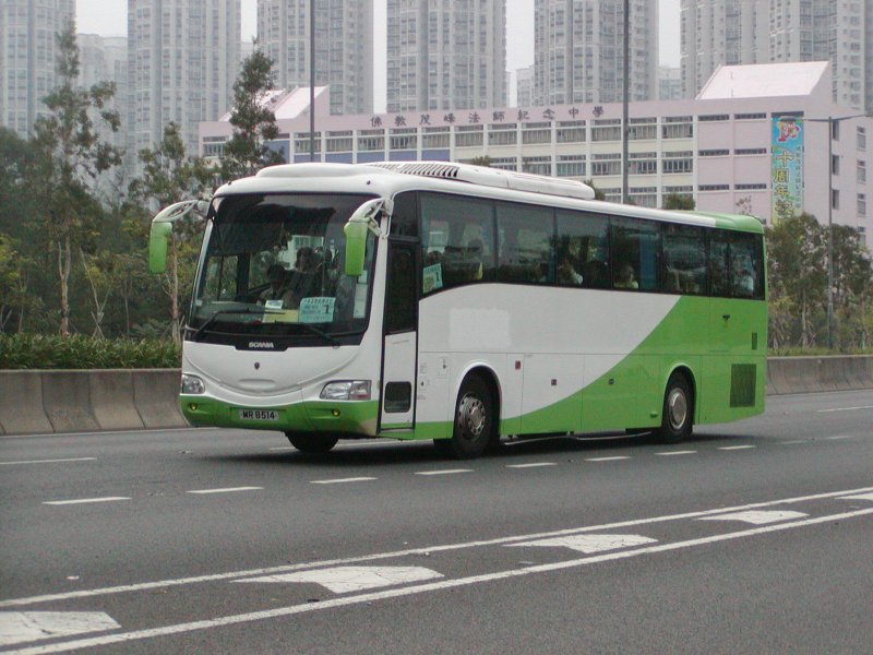 P1010028.jpg