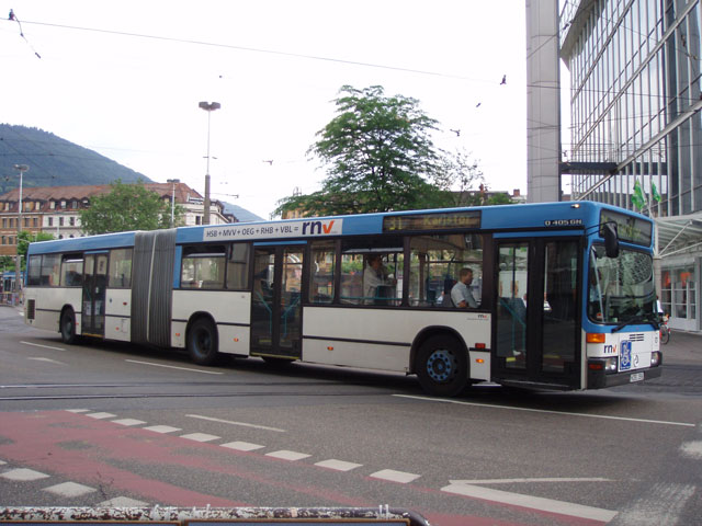 P6080043p.jpg