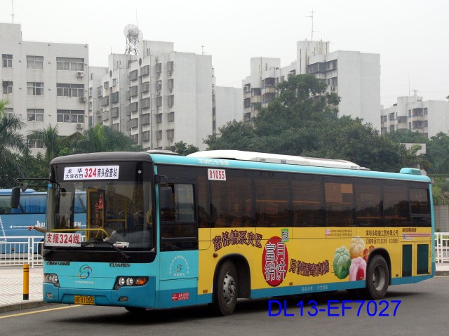 81055.jpg