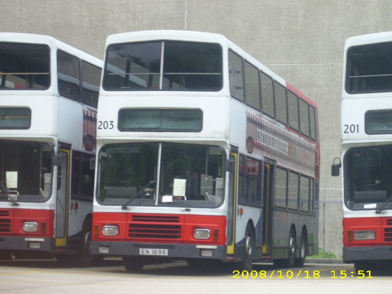 203.jpg