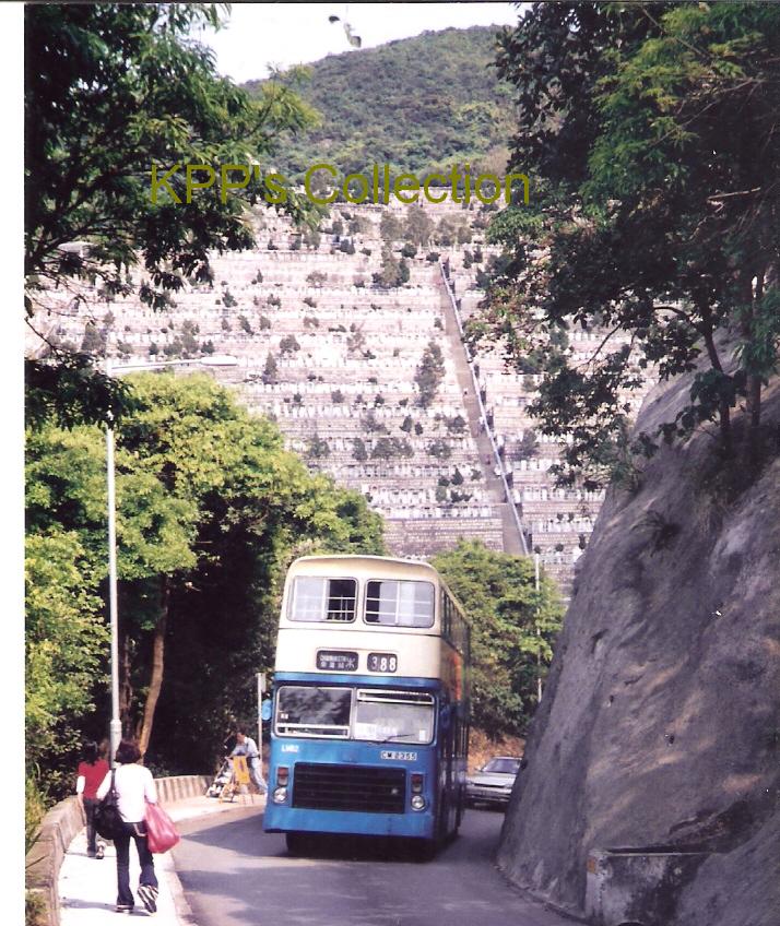 LV82_388.jpg