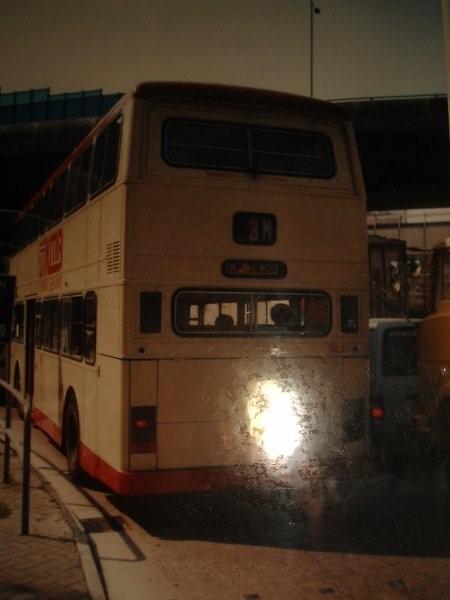 SANY0178.jpg