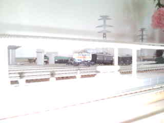 SNC00055.jpg
